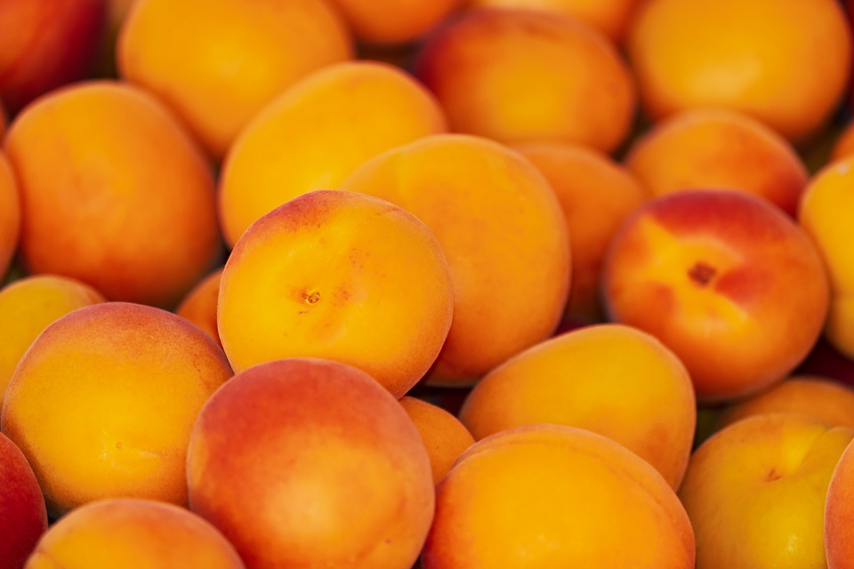 apricots 3433818 960 720.webp apricots 3433818 960 720.webp