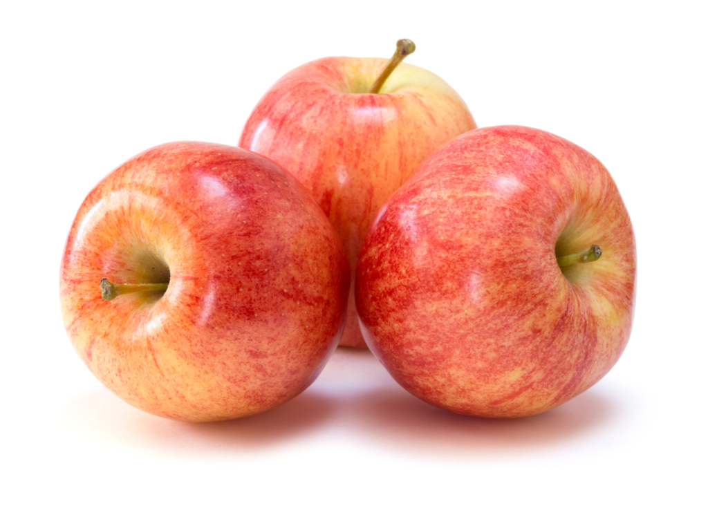 shutterstock 130215683 scaled 1.webp